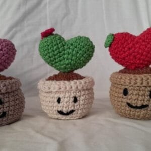 heart shaped crochet plant valentines gift